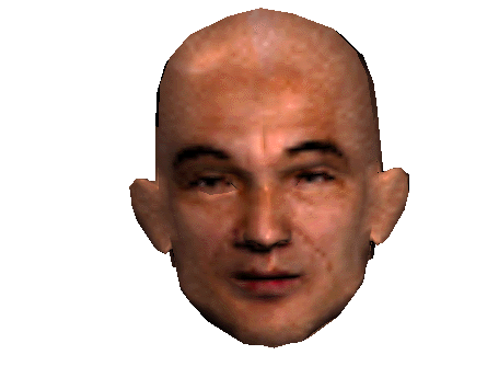 head.gif